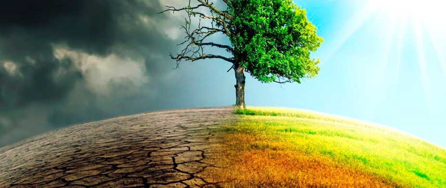 Día Mundial del Cambio Climático